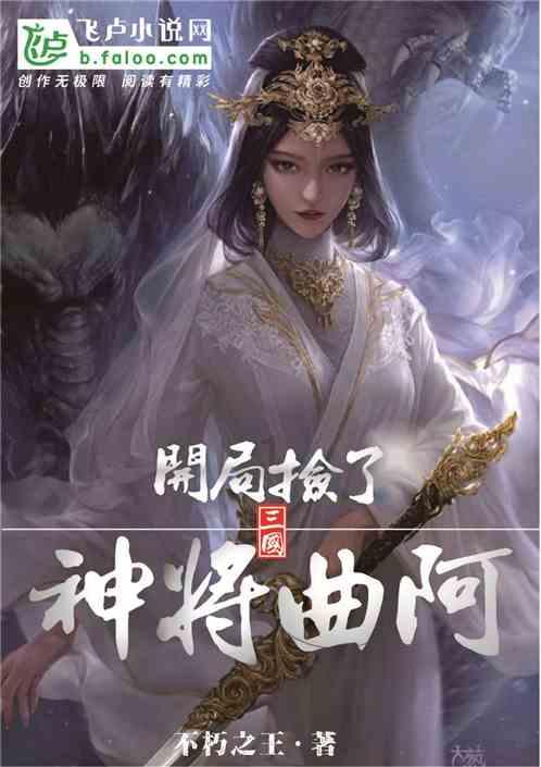 战斗机的反击